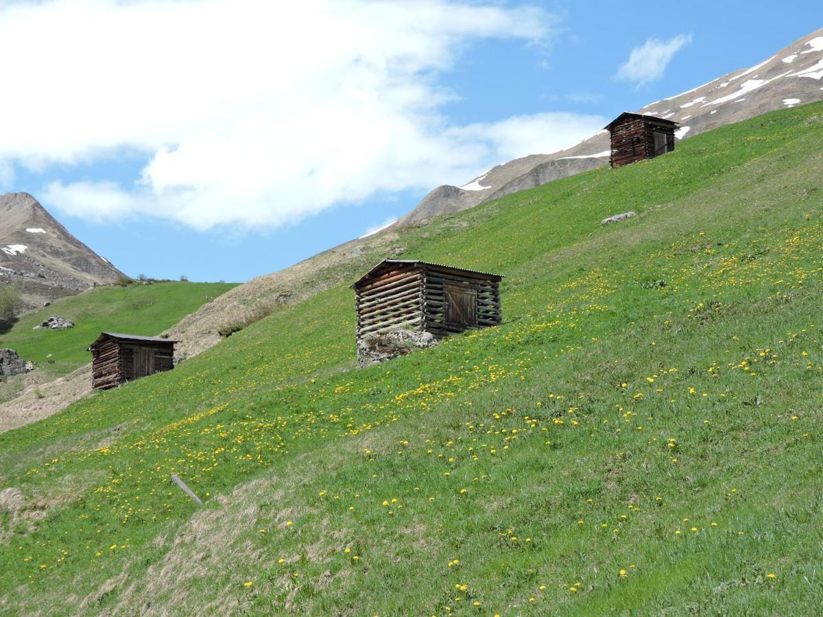 זאמנאון Haus Bergkristall מראה חיצוני תמונה